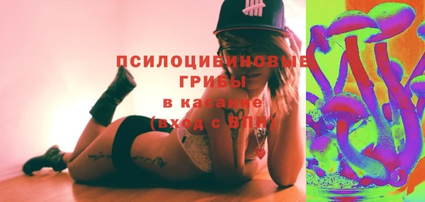 трава Абаза