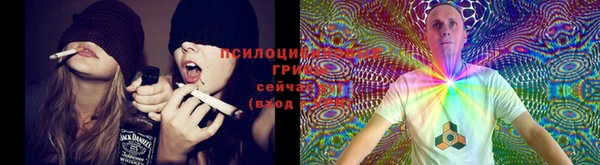 spice Наволоки